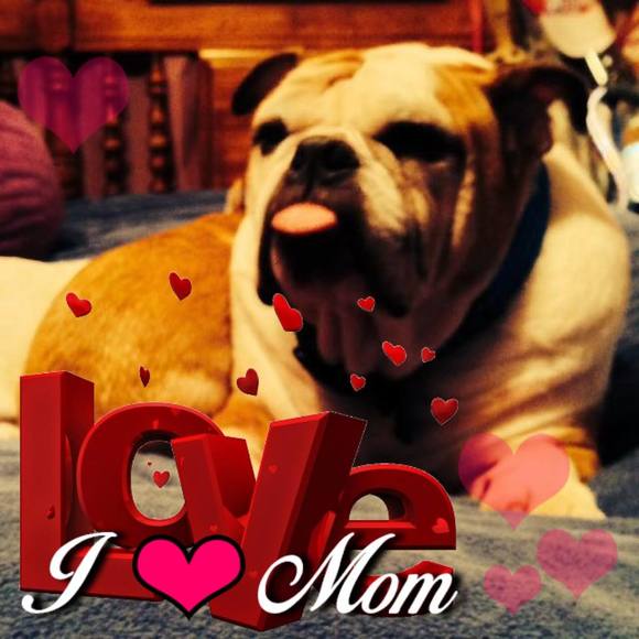 Meet your Posher, Brenda - Picture 1 of 1